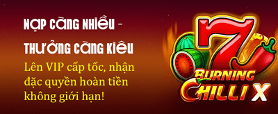 Sân Chơi Giải Trí Đỉnh Cao